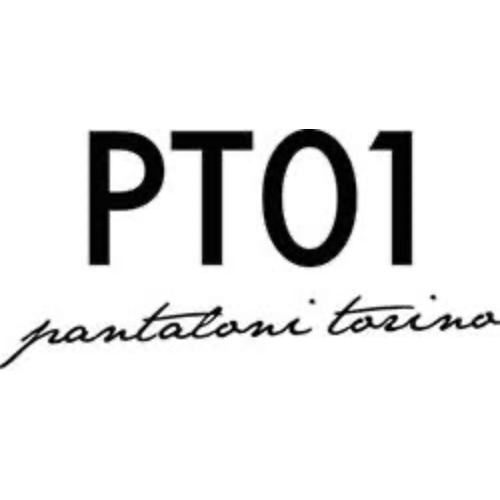 PT01